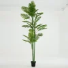 Flamant Arecapalm, Plant^ Decoratie