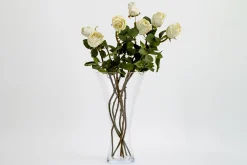 Flamant Belluno, Vaas, Glas, L^ Decoratie