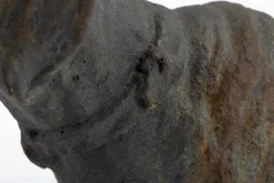 Flamant Blakeley, Hond^ Decoratie