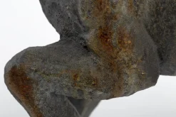 Flamant Blakeley, Hond^ Decoratie