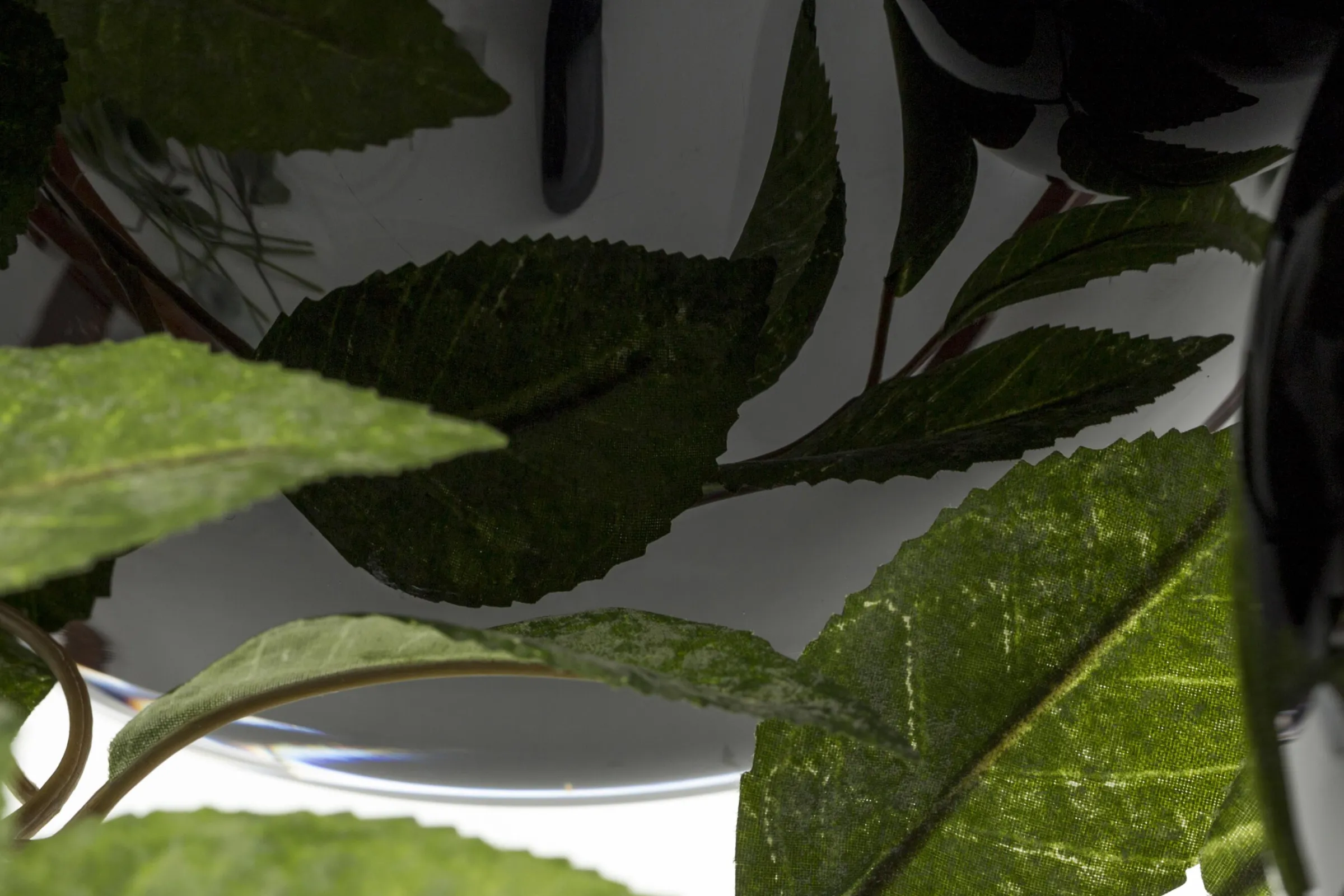 Flamant Chiaz, Vaas, Glas, Zwart^ Decoratie