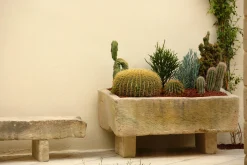 Flamant Coquille^ Geel Oranje