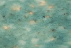 Flamant Cresta, Serveerbord, Keramiek, Turkoois, Ovaal^ Borden, Borden En Kommen