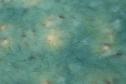 Flamant Cresta, Serveerschaal, Keramiek, Turkoois, Rond, 37 Cm^ Borden, Borden En Kommen