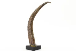 Flamant Dakkapel, Deco, Hoorn^ Decoratie