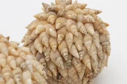 Flamant Darcio, Decobal, L^ Moederdag