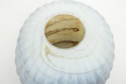 Flamant Dillane, Vaas, Glas, S^ Decoratie