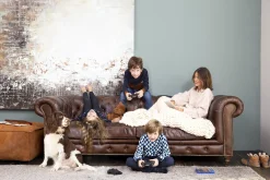 Flamant Edinburgh, Bank, Chesterfield, Leer, Donkerbruin, Driezitsbank^ Banken