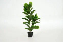 Flamant Fiddle Leaf-Vijg, Plant^ Decoratie