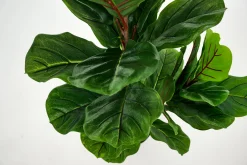 Flamant Fiddle Leaf-Vijg, Plant^ Decoratie