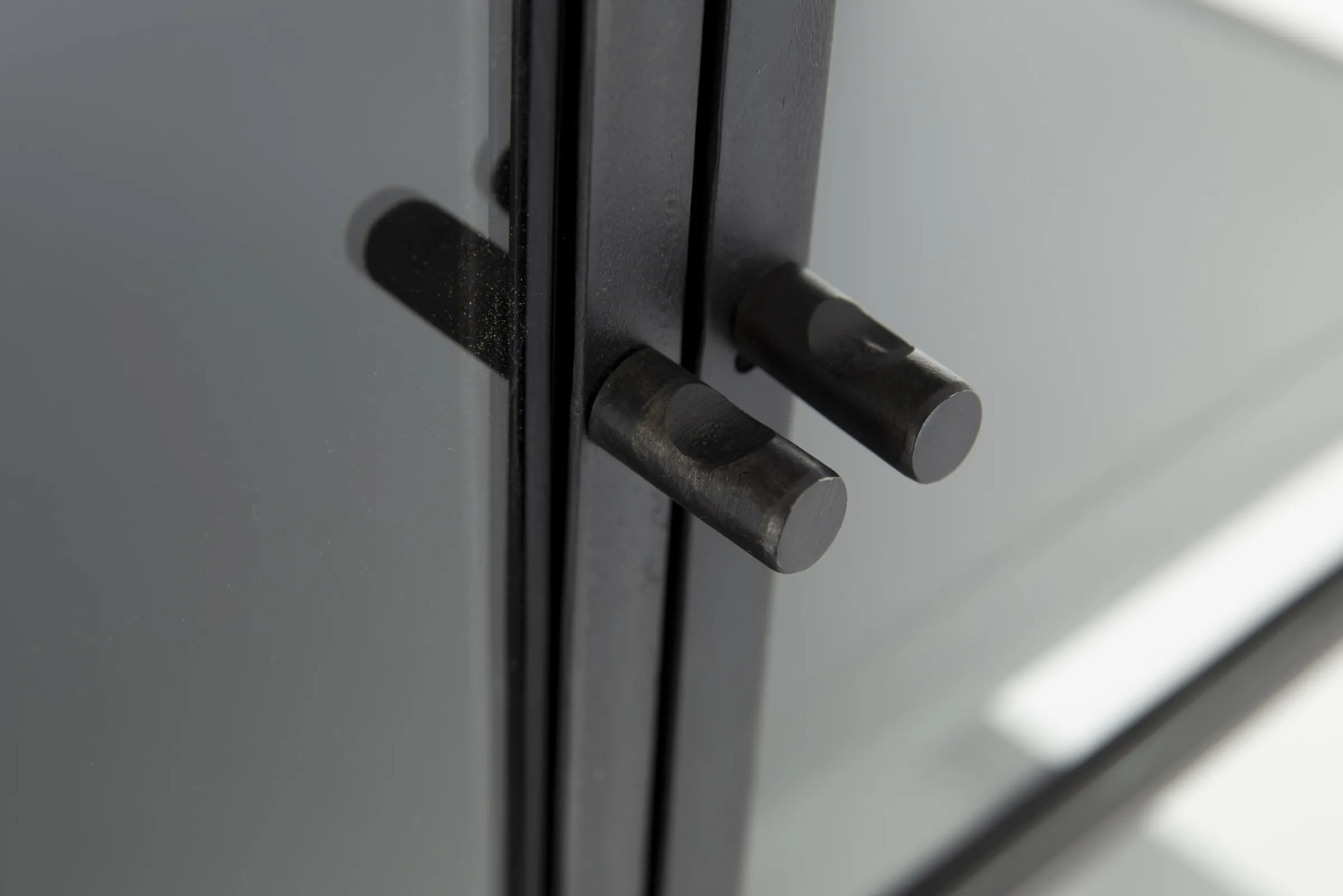 Flamant Laurance, Vitrinekast, Zwart, Metaal, 2 Deuren^ Moederdag