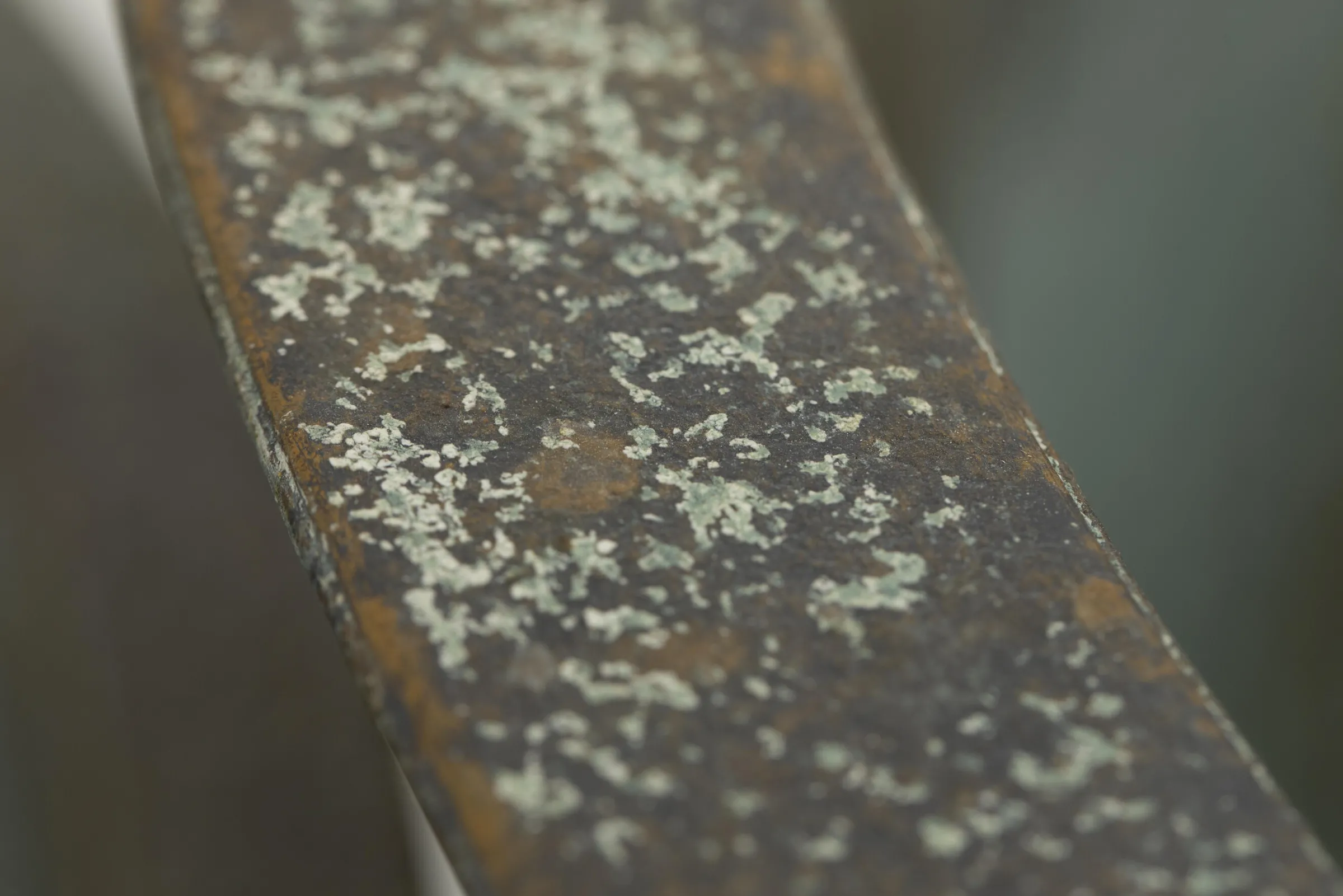 Flamant Manoli, Planter, M^ Tuindecoraties En Parasols