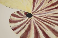 Flamant Maskorra, Kom, Schelp^ Moederdag