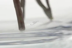 Flamant Mirac, Vaas, Glas, H30^ Decoratie