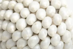 Flamant Nalani, Decobal, M^ Moederdag