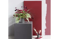 Flamant Rouge Baiser^ Rood